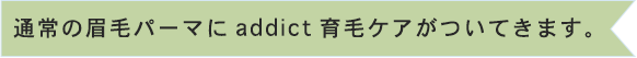 通常の眉毛パーマにaddict育毛ケアがついてきます。